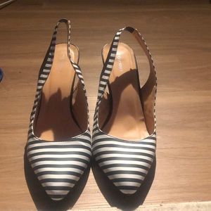 Torrid kitten heels